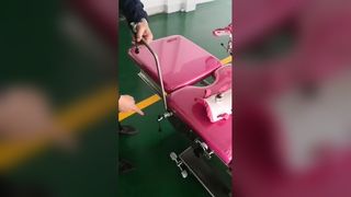 BR-DB27 Electric Parturition Bed
