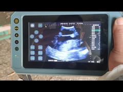 Échographe vétérinaire portable BR-VET8