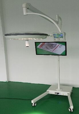Stand Mobile  Endo ENT Dental GNY Veterinary Surgery LED Operating Lamp Exam Lamp